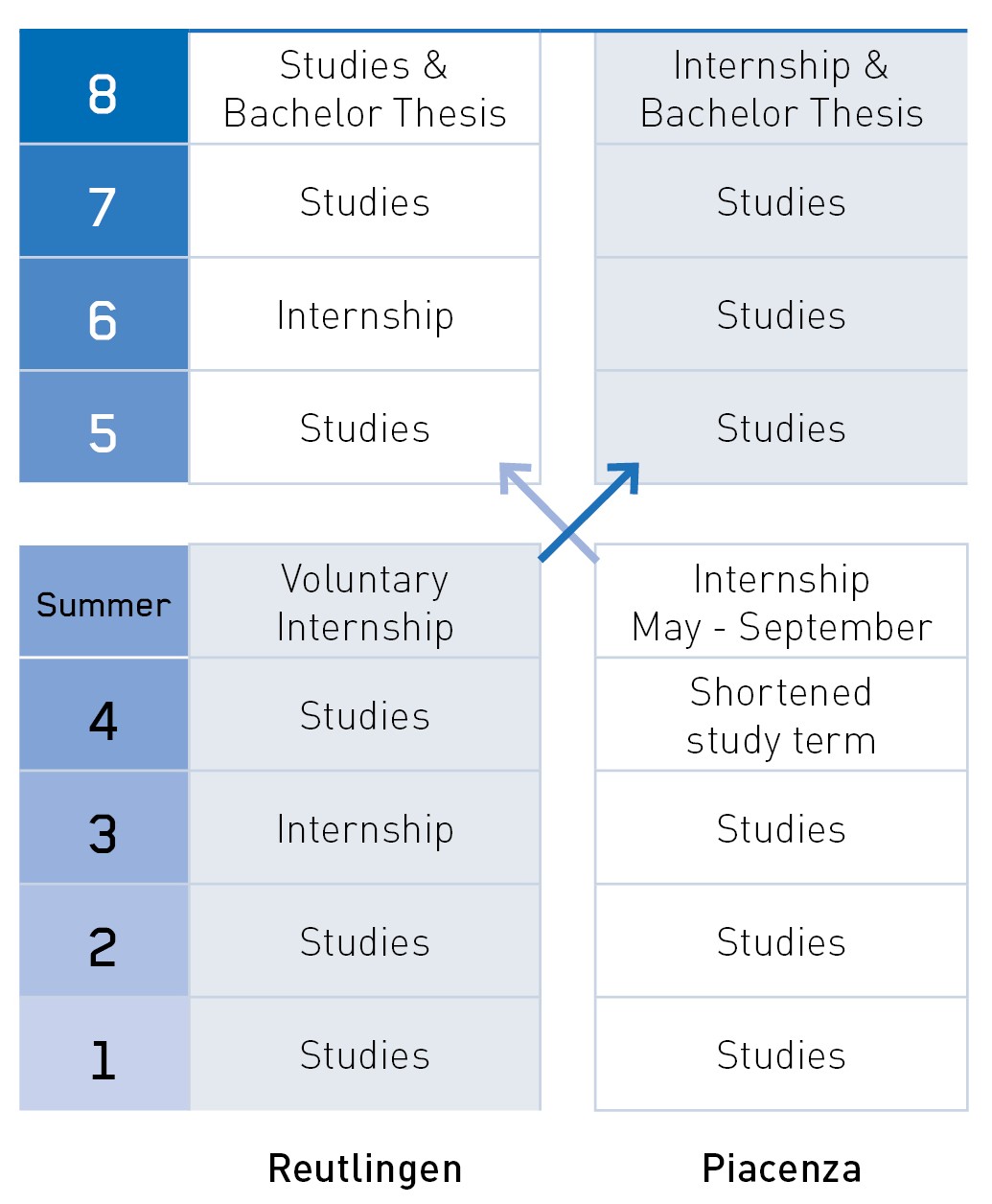 Course options in the German-Italian Double Degree