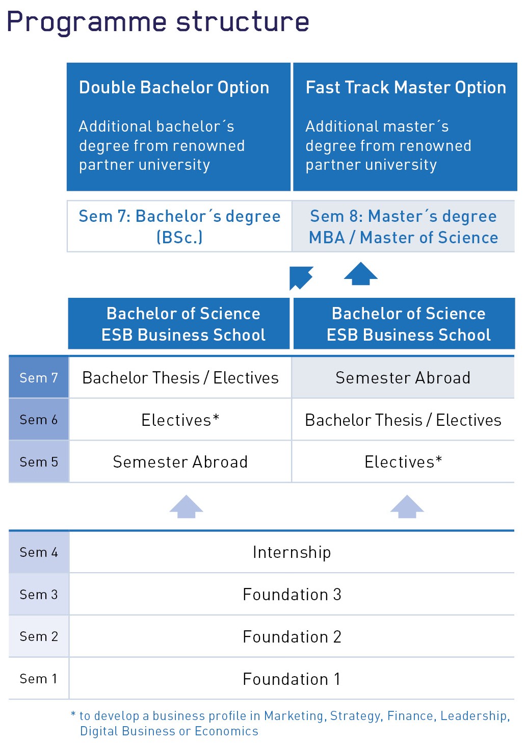 Studienverlauf des BSc International Business