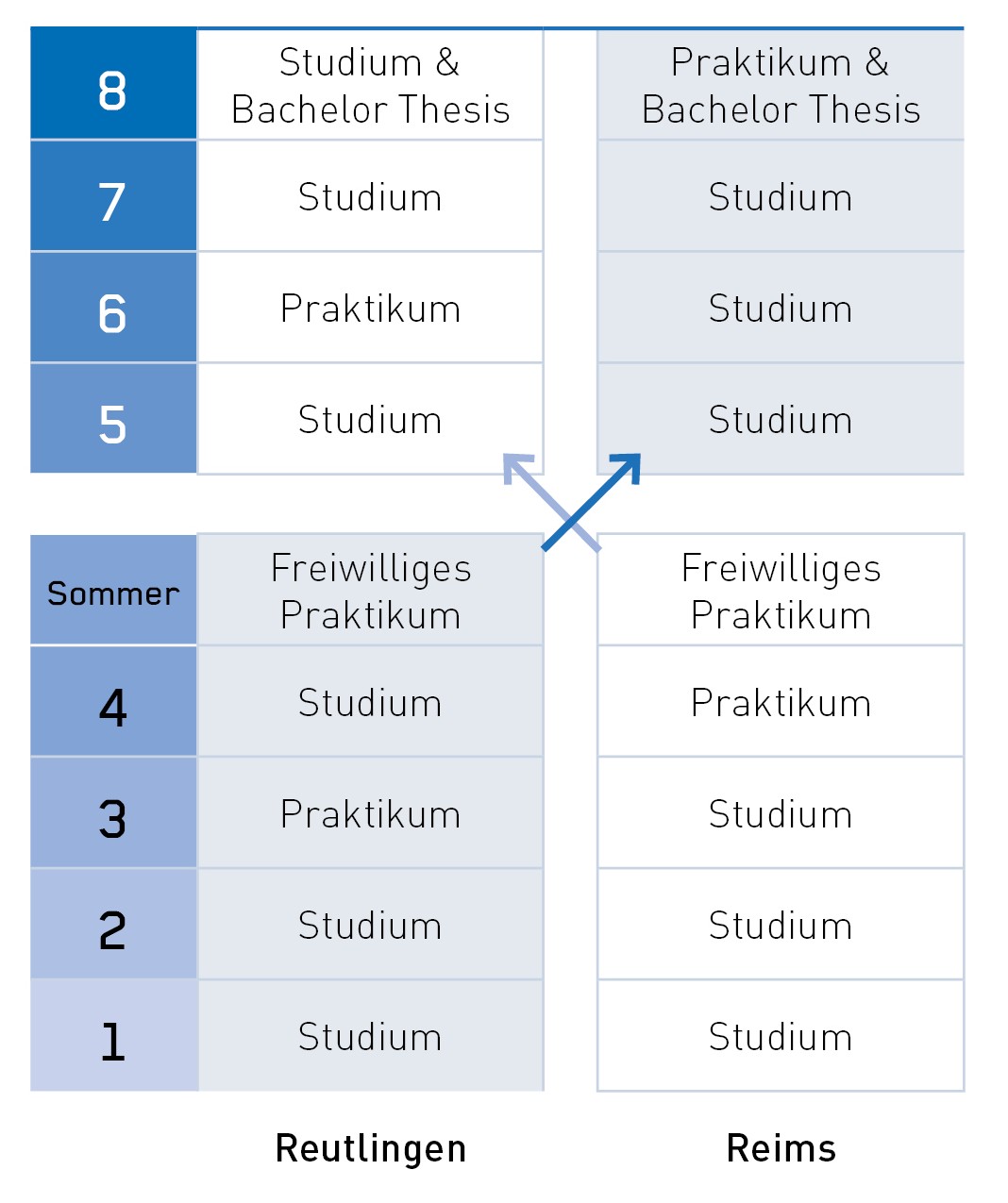 Studienverlauf im Deutsch-Französischen Double Degree