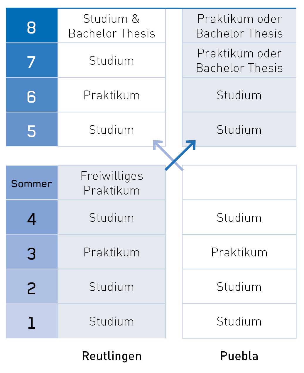 Studienverlauf im Deutsch-Mexikanischem Double Degree