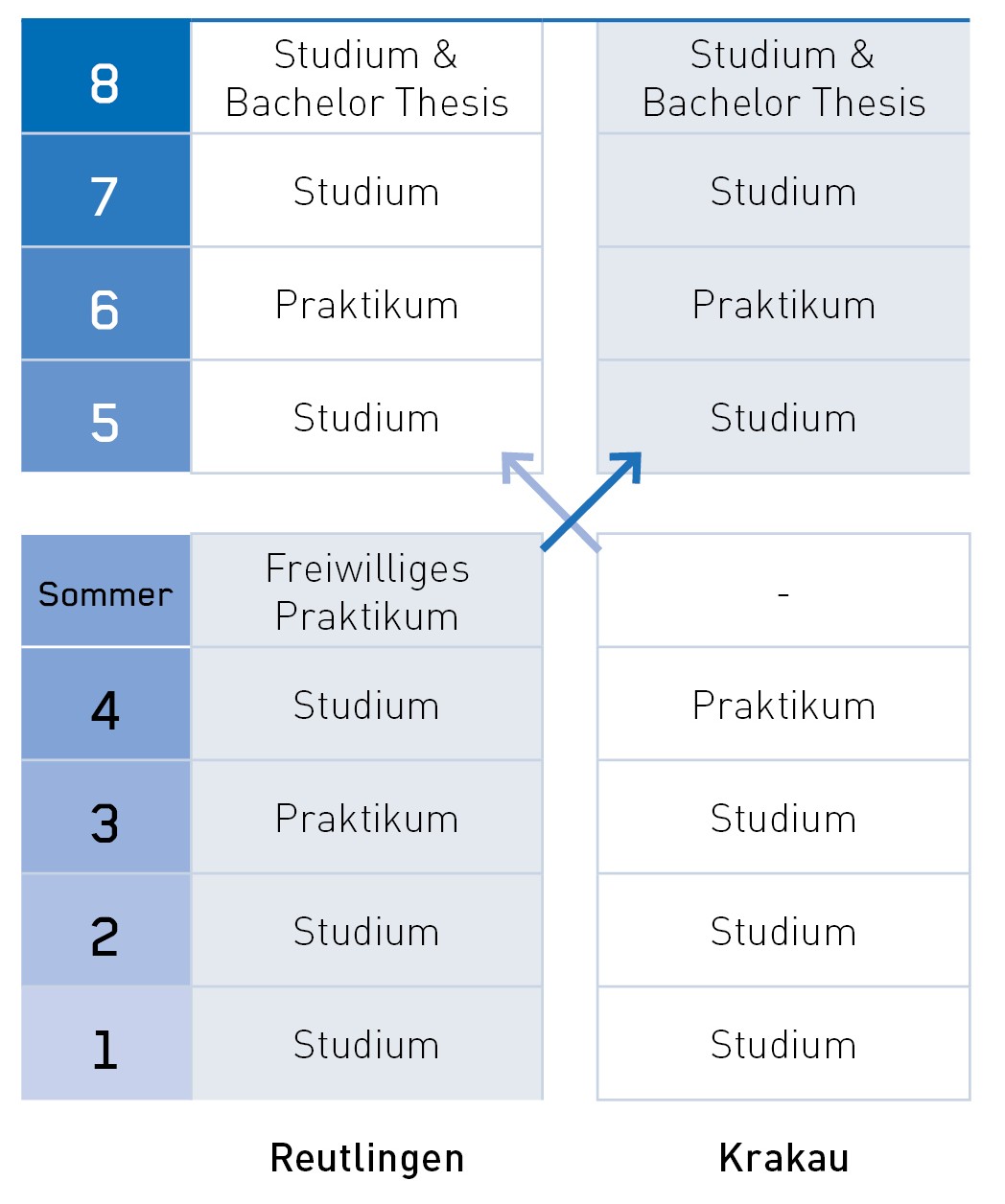 Studienverlauf im Deutsch-Polnischen Double Degree