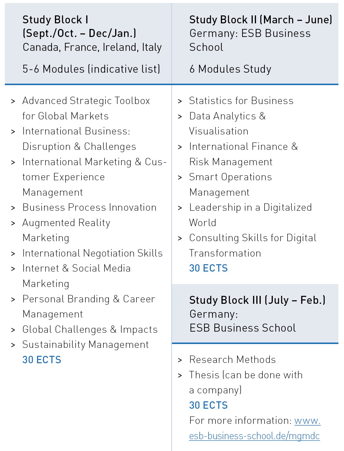 Studienverlauf des MSc Global Management and Digital Compentencies